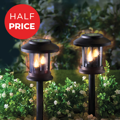 Set of 2 3-in-1 Solar Lights