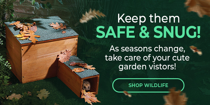 Bird & Wildlife Care