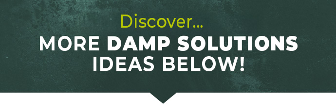 Pack of 2 Mould Wizard 120g