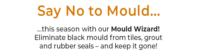 Pack of 2 Mould Wizard 120g