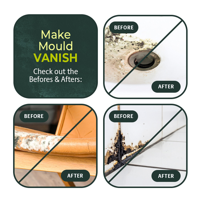 Pack of 2 Mould Wizard 120g