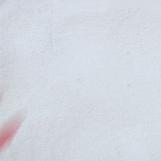 Sherpa Fleece Cushion