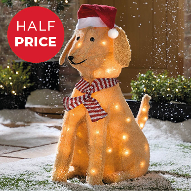 Lucky the Light-Up Labrador