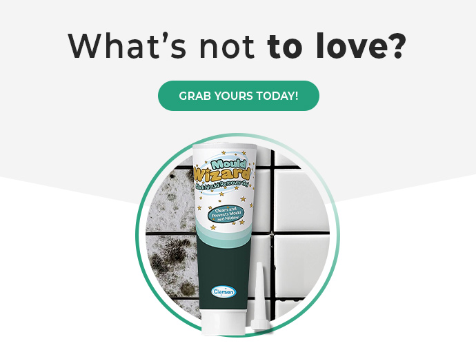 Pack of 2 Mould Wizard 120g