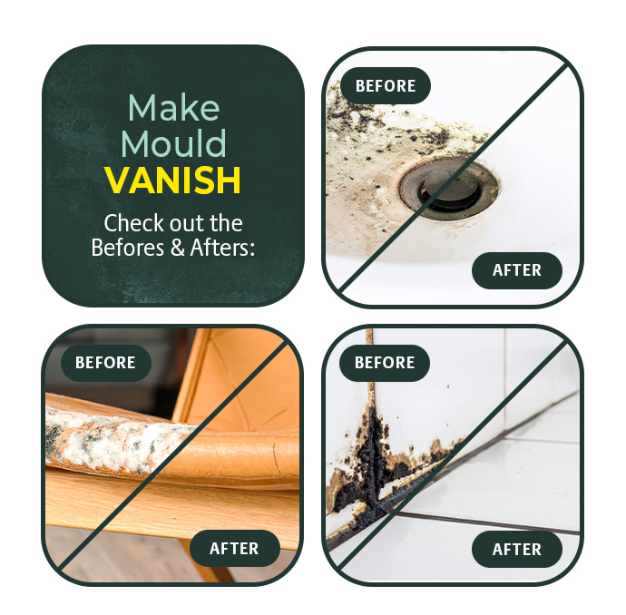 Pack of 2 Mould Wizard 120g