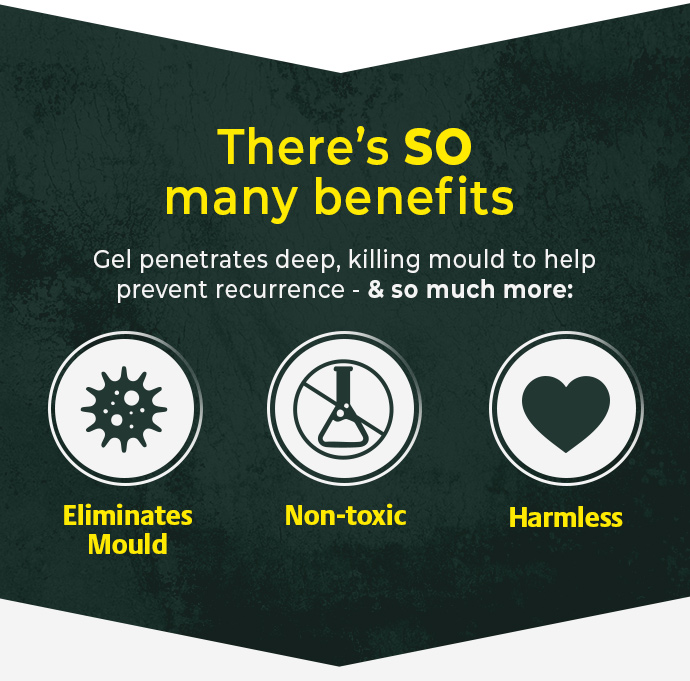 Pack of 2 Mould Wizard 120g