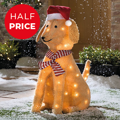 Lucky the Light-Up Labrador