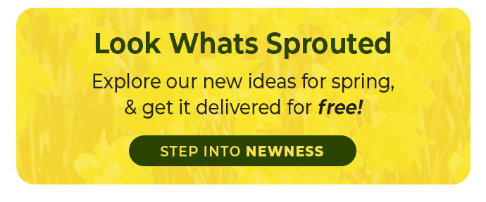 A little Friday evening perk – enjoy free delivery while it lasts.