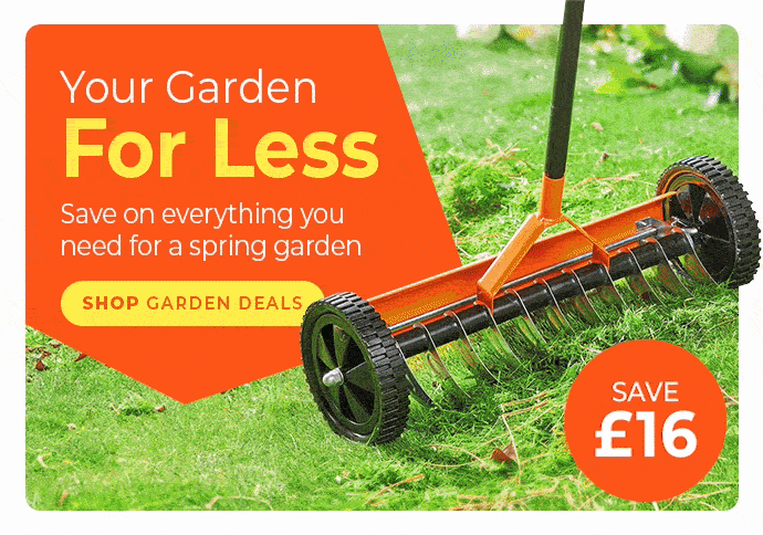 VIP ACCESS 🌼 Up to 70% Off + Free Delivery