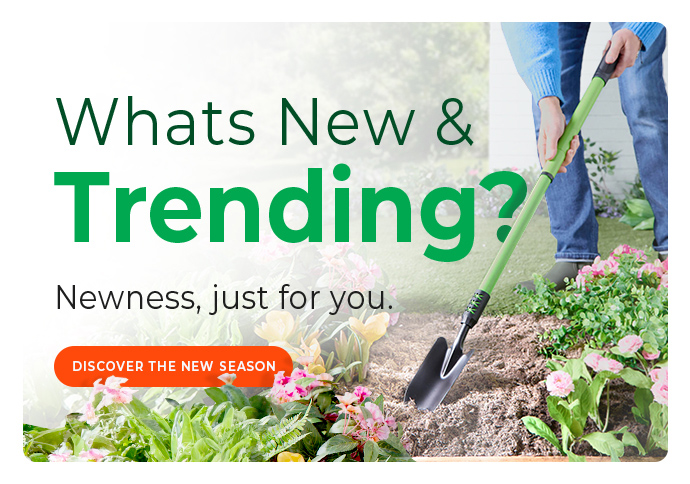 Fresh finds and popular picks, all in one place