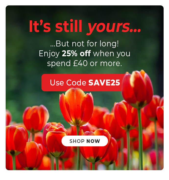 Midweek magic, delivered with a saving