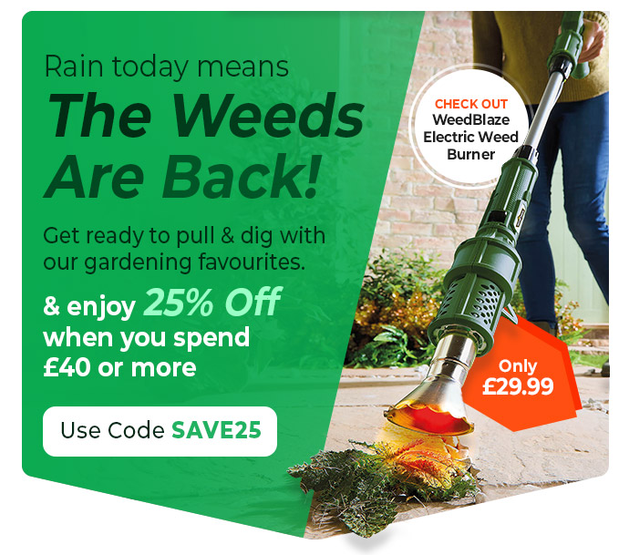 Get ahead of the growth and enjoy 25% off.
